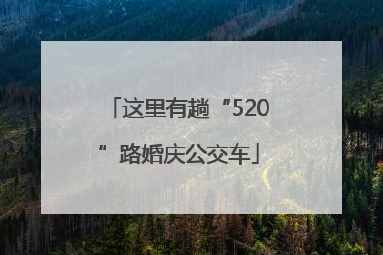 这里有趟“520”路婚庆公交车