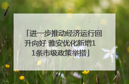 进一步推动经济运行回升向好 雅安优化新增11条市级政策举措