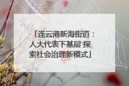 连云港新海街道：人大代表下基层 探索社会治理新模式