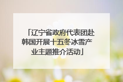 辽宁省政府代表团赴韩国开展十五冬冰雪产业主题推介活动