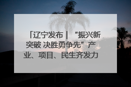 辽宁发布｜“振兴新突破 决胜勇争先”产业、项目、民生齐发力 葫芦岛按下决胜之年“加速键”