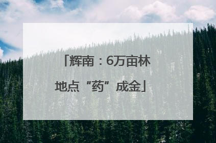 辉南：6万亩林地点“药”成金