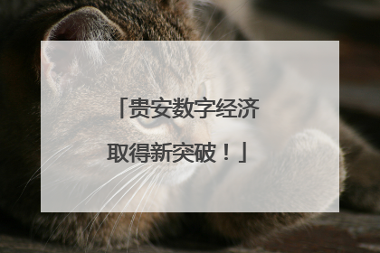贵安数字经济取得新突破！