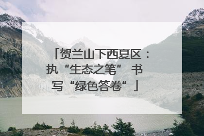 贺兰山下西夏区：执“生态之笔” 书写“绿色答卷”