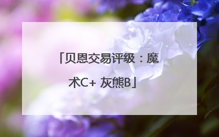 贝恩交易评级：魔术C+ 灰熊B
