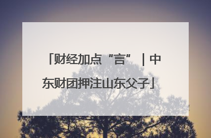 财经加点“言”｜中东财团押注山东父子
