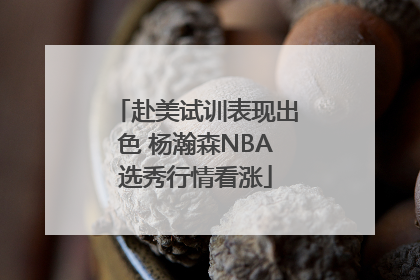 赴美试训表现出色 杨瀚森NBA选秀行情看涨
