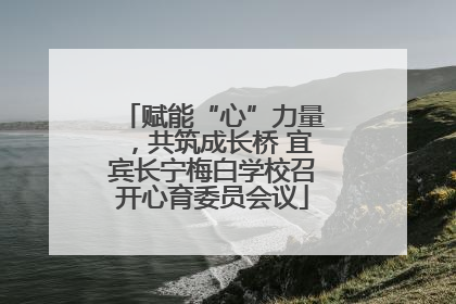 赋能“心”力量，共筑成长桥 宜宾长宁梅白学校召开心育委员会议