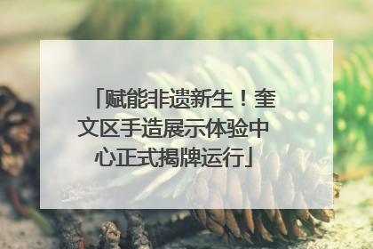 赋能非遗新生！奎文区手造展示体验中心正式揭牌运行