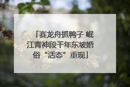赛龙舟抓鸭子 岷江青神段千年东坡婚俗“活态”重现