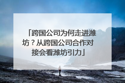 跨国公司为何走进潍坊？从跨国公司合作对接会看潍坊引力