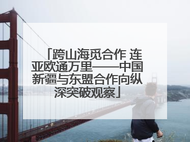 跨山海觅合作 连亚欧通万里——中国新疆与东盟合作向纵深突破观察