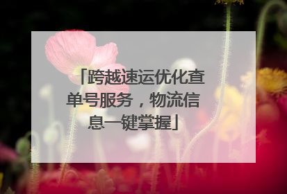 跨越速运优化查单号服务，物流信息一键掌握