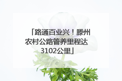 路通百业兴！滕州农村公路管养里程达3102公里