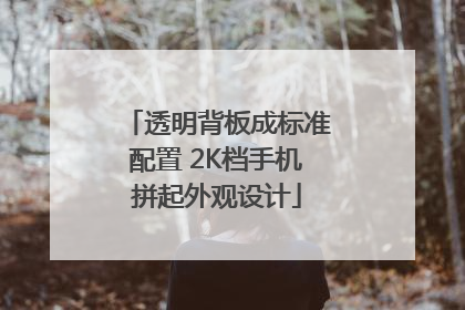 透明背板成标准配置 2K档手机拼起外观设计