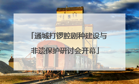 通城打锣腔剧种建设与非遗保护研讨会开幕