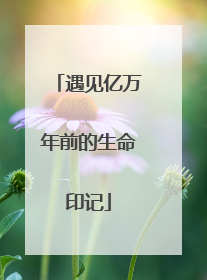 遇见亿万年前的生命印记