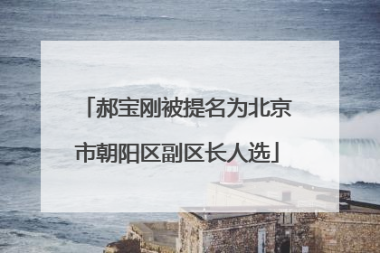 郝宝刚被提名为北京市朝阳区副区长人选