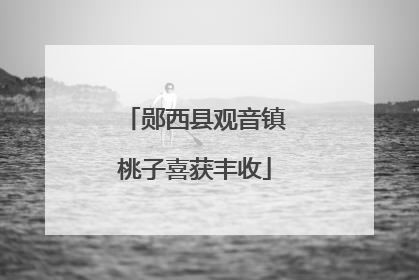 郧西县观音镇桃子喜获丰收