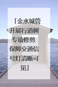 金水城管开展行道树专项修剪 保障交通信号灯清晰可见