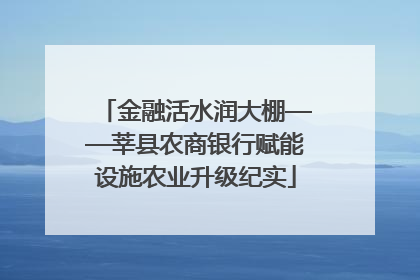 金融活水润大棚——莘县农商银行赋能设施农业升级纪实
