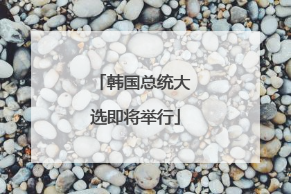 韩国总统大选即将举行