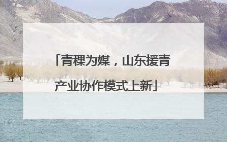 青稞为媒，山东援青产业协作模式上新