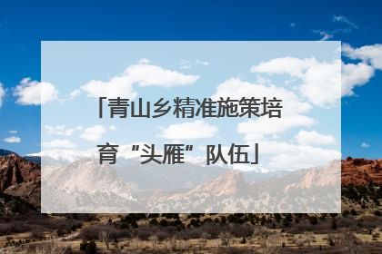 青山乡精准施策培育“头雁”队伍