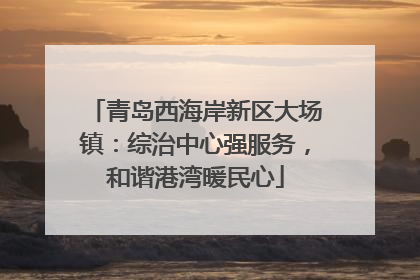 青岛西海岸新区大场镇：综治中心强服务，和谐港湾暖民心