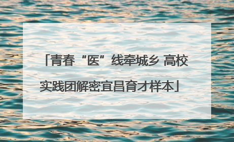 青春“医”线牵城乡 高校实践团解密宜昌育才样本