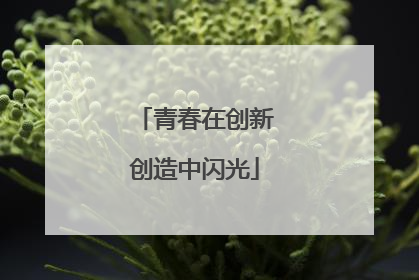 青春在创新创造中闪光