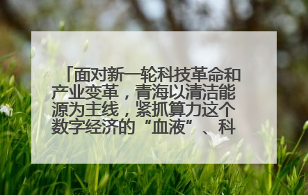面对新一轮科技革命和产业变革，青海以清洁能源为主线，紧抓算力这个数字经济的“血液”、科技主权的“筹码”、产业升级的“杠杆”、绿色转型的“支点”，勇于撬动国家“双碳”战略、“东数西算”工程重大发展新机遇