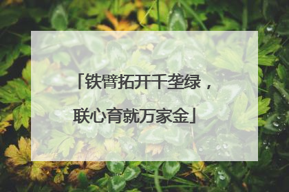 铁臂拓开千垄绿，联心育就万家金