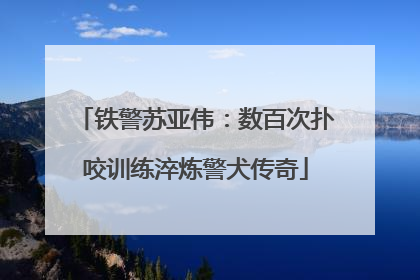 铁警苏亚伟：数百次扑咬训练淬炼警犬传奇