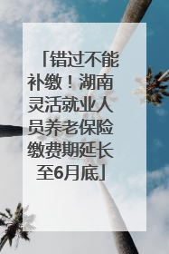错过不能补缴！湖南灵活就业人员养老保险缴费期延长至6月底