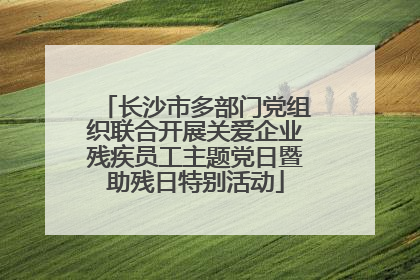 长沙市多部门党组织联合开展关爱企业残疾员工主题党日暨助残日特别活动
