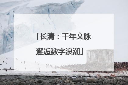 长清：千年文脉邂逅数字浪潮
