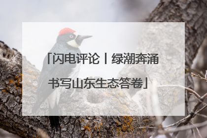 闪电评论丨绿潮奔涌 书写山东生态答卷