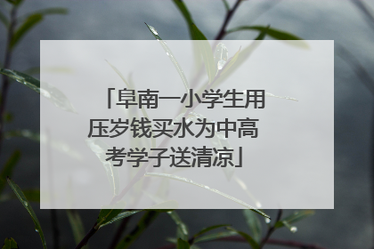 阜南一小学生用压岁钱买水为中高考学子送清凉