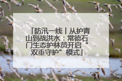 防汛一线丨从护青山到战洪水：常德石门生态护林员开启“双重守护”模式