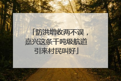 防洪增收两不误，嘉兴这条千吨级航道引来村民叫好