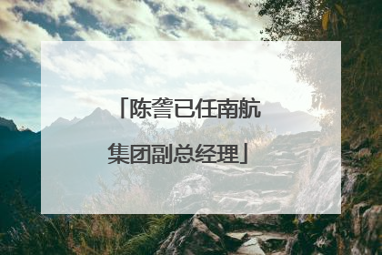 陈詟已任南航集团副总经理