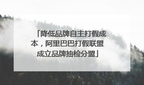 降低品牌自主打假成本，阿里巴巴打假联盟成立品牌抽检分盟