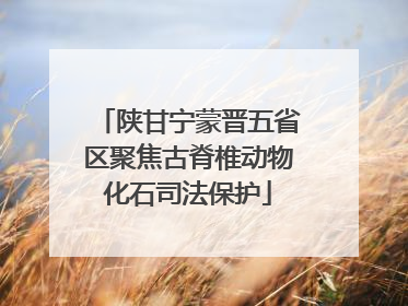 陕甘宁蒙晋五省区聚焦古脊椎动物化石司法保护