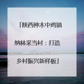 陕西神木中鸡镇纳林采当村：打造乡村振兴新样板
