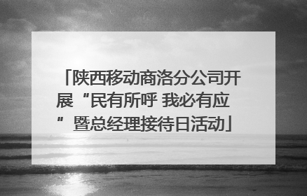 陕西移动商洛分公司开展“民有所呼 我必有应”暨总经理接待日活动