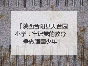 陕西合阳县天合园小学：牢记党的教导 争做强国少年