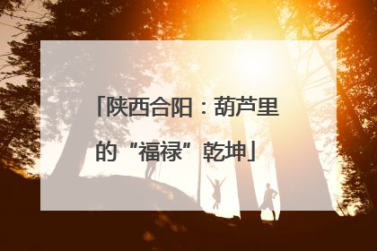 陕西合阳：葫芦里的“福禄”乾坤