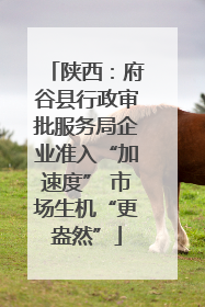 陕西：府谷县行政审批服务局企业准入“加速度” 市场生机“更盎然”