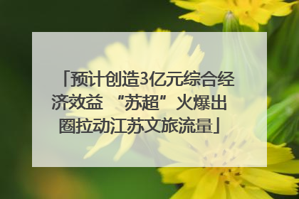 预计创造3亿元综合经济效益 “苏超”火爆出圈拉动江苏文旅流量